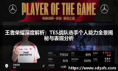 王者荣耀深度解析：TES战队选手个人能力全景揭秘与表现分析